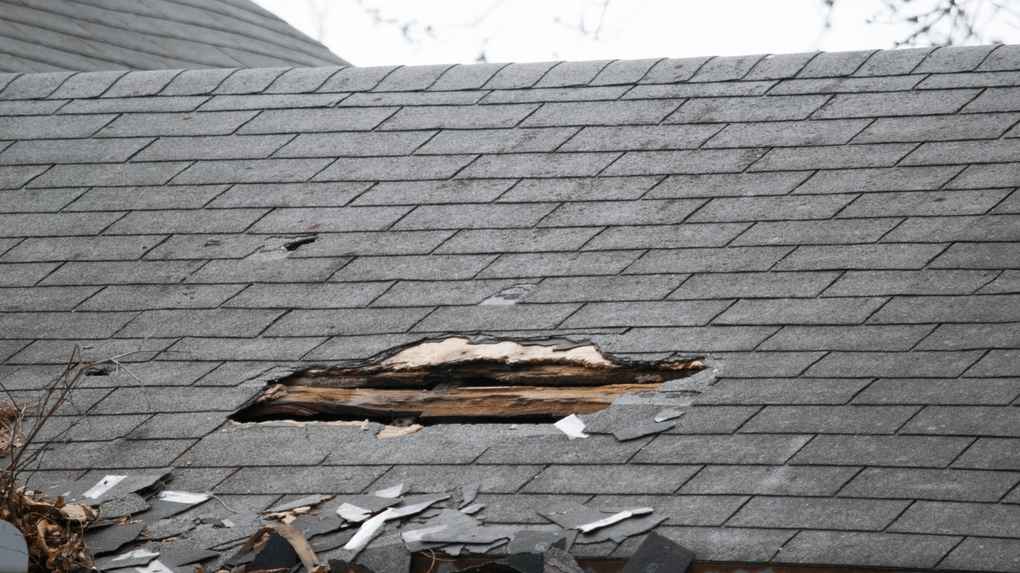 Signs Your Roof May Be Rotting